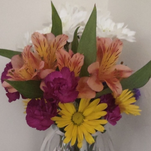 Meet your Posher, Danielle - Picture 4 of 11